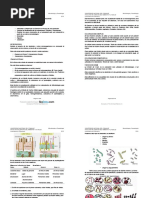 Examen EN Fresco Y Coloraciones