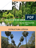 Caracteres Ornamentales de Arboles - Presentacion PDF