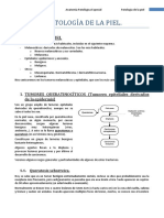 APE-B E28-E29 Patología de La Piel (T14)