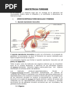 Trabajo Obstetricia Forense