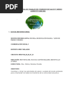 Cronograma de Trabajo de Comision de Salud y Medio Ambiente 2020