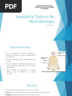 Resumen Primera Solemne Neuro