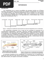 Guia - Paleontologia - Parte - III - Vertebrados (2019) PDF