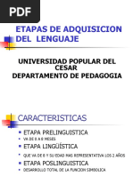 Etapas Del Lenguaje