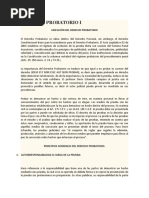 Derecho Probatorio I