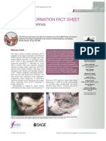 FelineCalicivirus FactSheet PDF