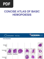 Concise Atlas of Basic Hemopoiesis