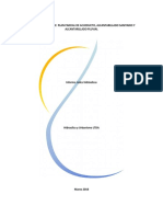 Informe - Consolidado - Disenos - Agua - y - Alcantarillado Word