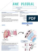 DP - Miniresumen Bluemed