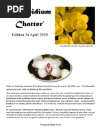 Cymbidium Chatter': Edition 3a April 2020