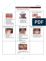 AnnexIII DifferentialDiagnosis FromNLEP India PDF