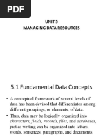 Unit 5 Managing Data Resources