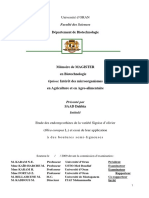 These Microorganismes Huile Variete Algerienne2941 PDF