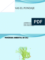 Presentación Pondaje