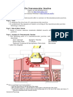 The Neuromuscular Junction: Page 1. Introduction Page 2. Goals