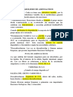 Metabolismo de Aminoacidos