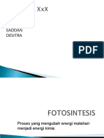 Fotosintesis