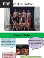 Amazon Tribes 