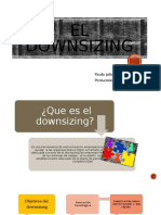 El Downsizing