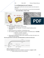 Yruvate Ehydrogenase Omplex: Mitochondrial Structure