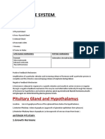 Endocrine System: Pituitary Gland and Hypothalamus