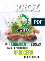 Arroz544 Revista 2020 PDF