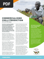 Commercialising Chilli Production: The North Eastern Chilli Producers Association