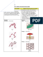 Organismos Unicelulares y Pluricelulares