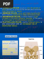 Female Pelvis