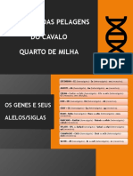 PDF Genética Das Pelagens Do Quarto de Milha