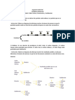 Actividad 1 Katherine