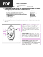 Actividad La Celula 11-Margarita Olmedo