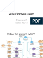 Cells of Immune System