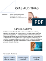 Agnosia Auditiva