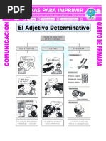 Ficha Que Son Los Adjetivos Determinativos para Quinto de Primaria