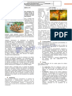 Literatura Preco8