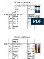 Pruebas Bioquimicas