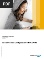 Visual Business Configuration With SAP TM