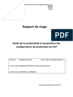 Etude de La Poductivité Des Lignes CAP