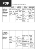 Cuadro Funciones Cognitivas