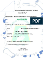 practica-preprofecional-RIACHUELO-SAC - Docx FINALLLLL