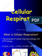 ADPATPand Cellular Respiration