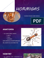 Hormigas