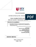 Informe de 5S Practicas Pre-Profesionales