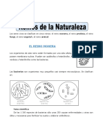 Ficha Reinos de La Naturaleza para Quinto de Primaria