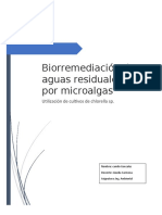 Biorremediación de Aguas Residuales Por Microalgas