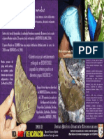 Morpho Menelaus Mariposas de Colombia, 2018