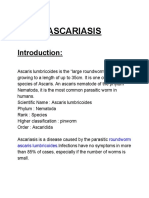 Ascariasis: Roundworm Ascaris Lumbricoides