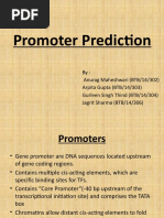 Promoter Prediction