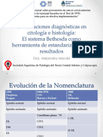 2014 04 - Alejandra Maciel - Clasificacin Cito Histolgica PDF